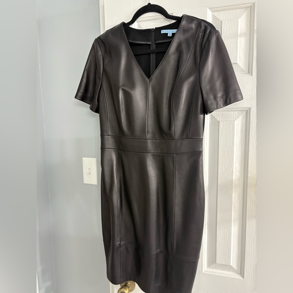 Antonio Melani short sleeve leather dress.